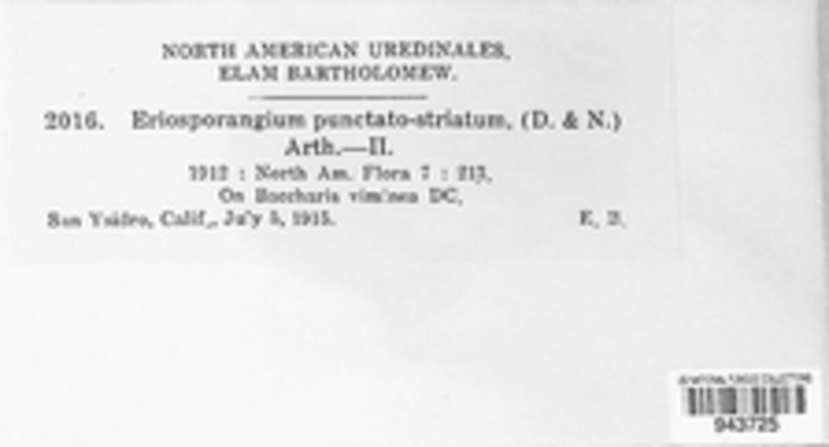 Puccinia baccharidis image
